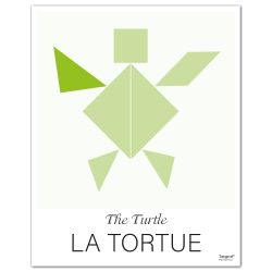 Affiche LA TORTUE The Turtle - 50 x 40 cm - Vert - Tangraf