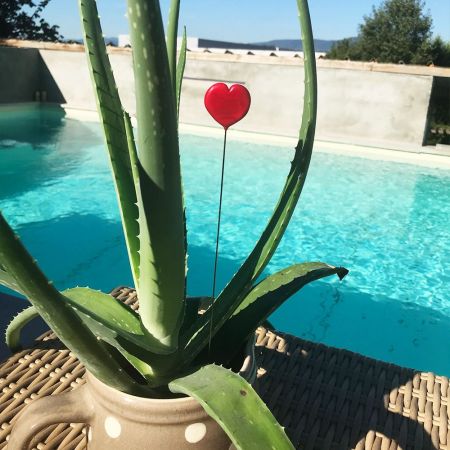 Tige à planter coeur en verre filé - Rouge