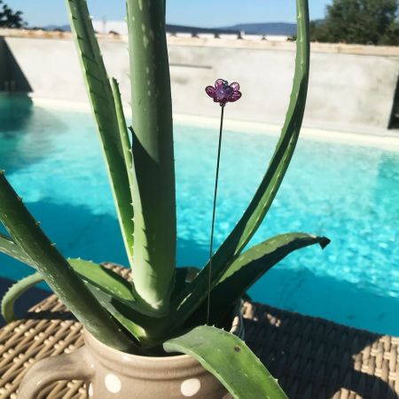 Tige à planter fleur en verre filé - Rose et Violet