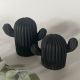 Cactus artisanaux en jesmonite - Lot de 2 - Coloris au choix